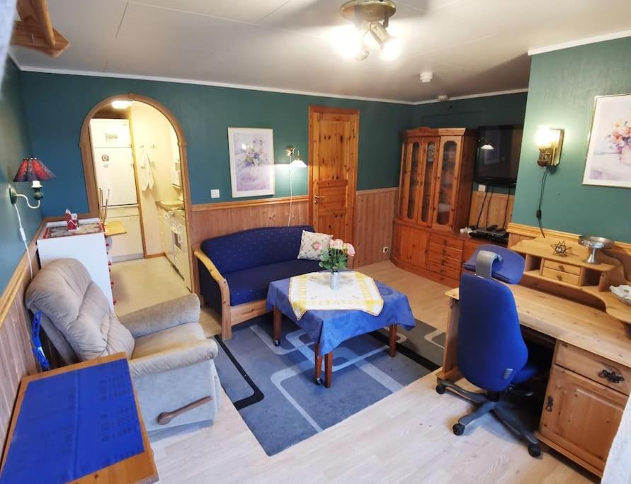 Small Basement Private Entrance View Apartment Fitjar